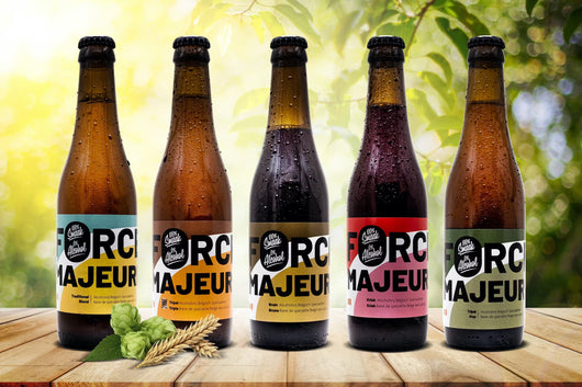 Collezione di 5 birre analcoliche Forza Maggiore Sanzalc, cantina analcolica per adulti disinibiti