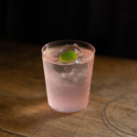 DJIN Immunity senza alcol 0% Sanzalc, cantina analcolica per adulti disinibiti