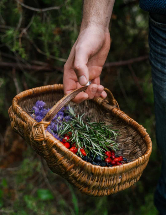 DJIN Nature Passion analcolico 0% Sanzalc, cantina analcolica per adulti disinibiti