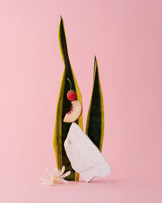 Effervescente French Bloom rosé 0,0% senza alcool Sanzalc, cantina analcolica per adulti disinibiti