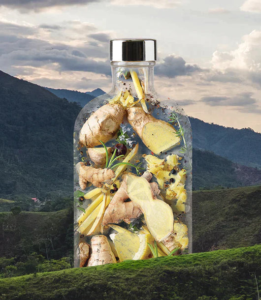 Gimber N°2 Brut BIO 700ml senza alcool 🥂 Sanzalc, la cantina senza alcool e senza complessi