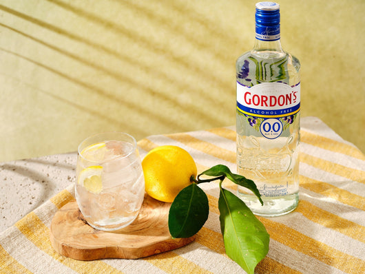 Gin Gordon's 0,0% analcolico 🥂 Sanzalc, la cantina senza alcool e senza complessi