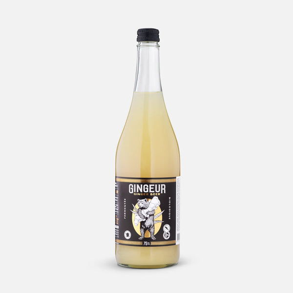 Ginger Beer Zenzero Biologico 75 cl Sanzalc, cantina analcolica per adulti disinibiti
