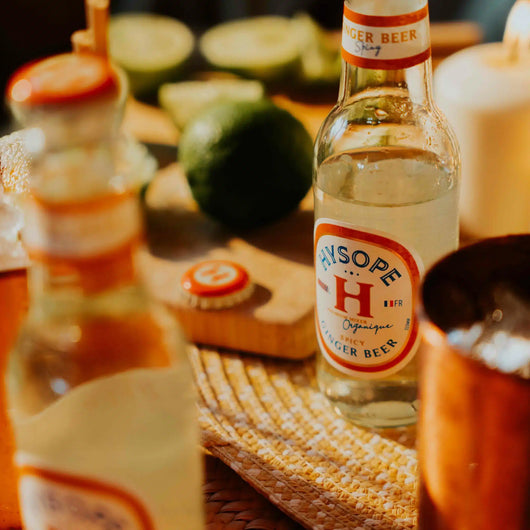 Ginger Beer piccante Issopo Biologico 20 cl Sanzalc, cantina analcolica per adulti disinibiti