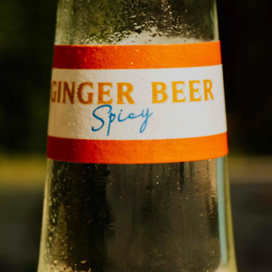 Ginger Beer piccante Issopo Biologico 75 cl Sanzalc, cantina analcolica per adulti disinibiti
