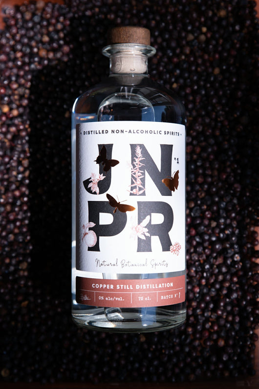 JNPR N°1 Superalcolici analcolici 🥂 Sanzalc, la cantina senza alcool e senza complessi