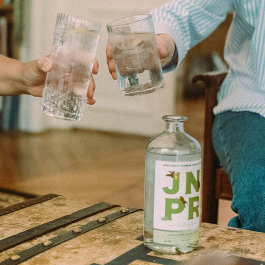 JNPR N°3 Distillati analcolici Sanzalc, cantina analcolica per adulti disinibiti