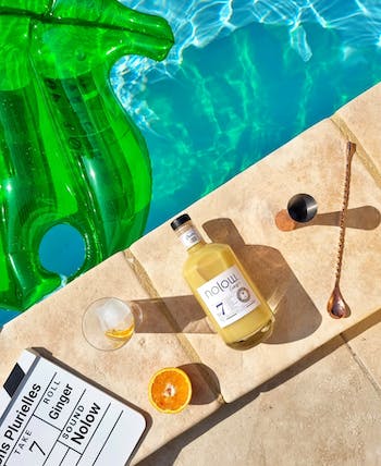 NOLOW Zenzero senza alcool N°7 🥂 Sanzalc, la cantina senza alcool e senza complessi