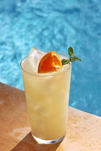 NOLOW Zenzero senza alcool N°7 🥂 Sanzalc, la cantina senza alcool e senza complessi