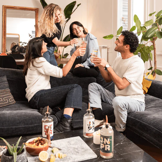 Offerta JNPR Discovery Superalcolici analcolici Sanzalc, cantina analcolica per adulti disinibiti