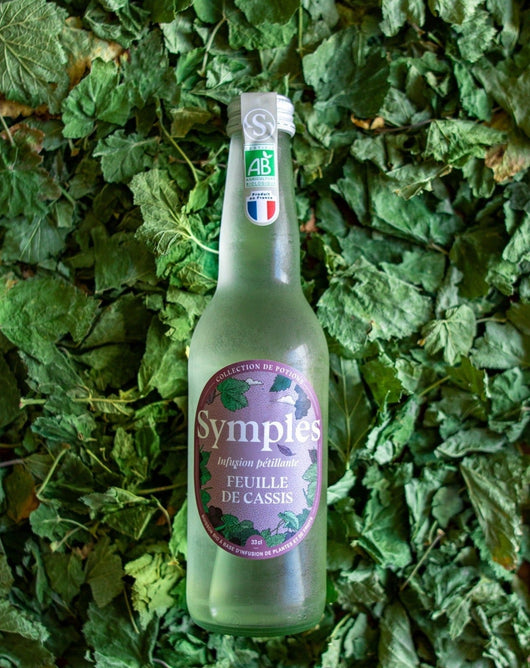 Bellissimo infuso di foglie di ribes nero 🥂 Sanzalc, la cantina senza alcool e senza complessi