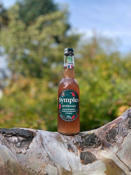 Simples winter infusion edizione limitata 🥂 Sanzalc, la cantina senza alcool e senza complessi