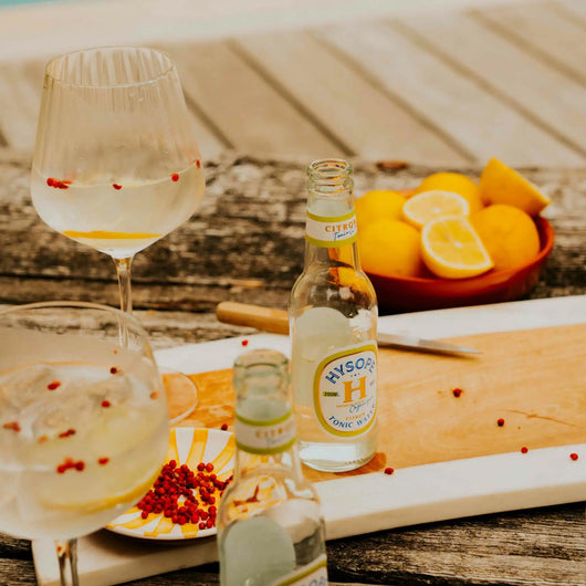 Acqua tonica Issopo Limone Biologico 20 cl Sanzalc, cantina analcolica per adulti disinibiti