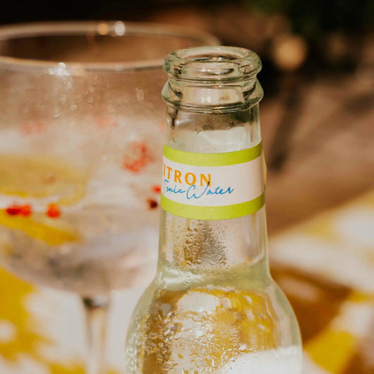 Acqua tonica Issopo Limone Biologico 20 cl Sanzalc, cantina analcolica per adulti disinibiti