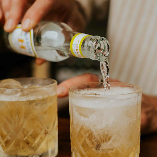 Acqua tonica Issopo Limone Biologico 20 cl Sanzalc, cantina analcolica per adulti disinibiti