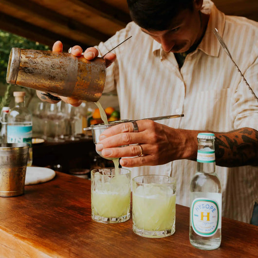 Acqua tonica Bio Cetriolo Issopo 20 cl Sanzalc, cantina analcolica per adulti disinibiti