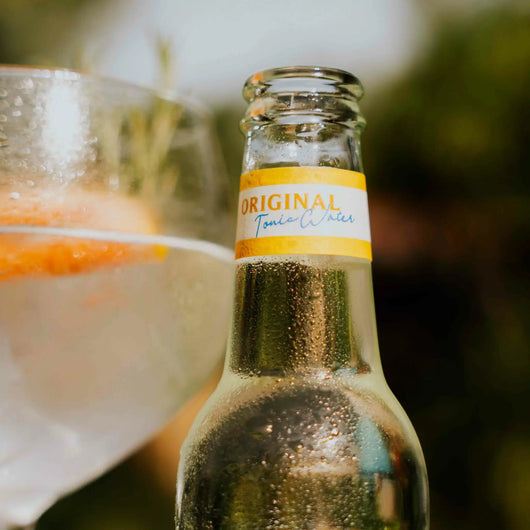 Acqua tonica Issopo Biologico Originale 75 cl Sanzalc, cantina analcolica per adulti disinibiti