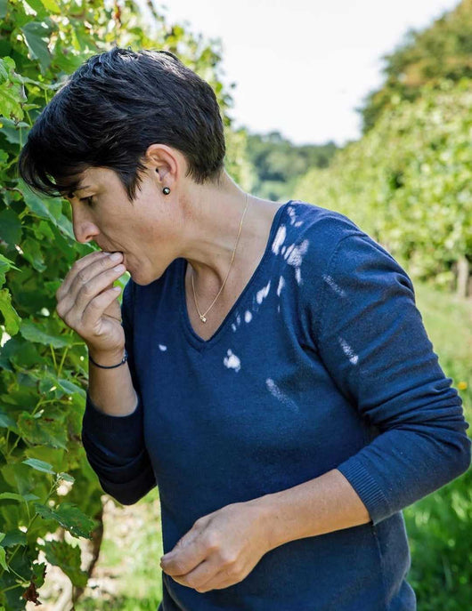 UBY Sauvignon 0,0% vino bianco biologico senza alcool Sanzalc, cantina analcolica per adulti disinibiti