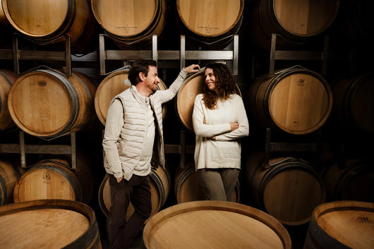 Zeronimo Leonis Blend vino rosso analcolico <0,5% Sanzalc, cantina analcolica per adulti disinibiti