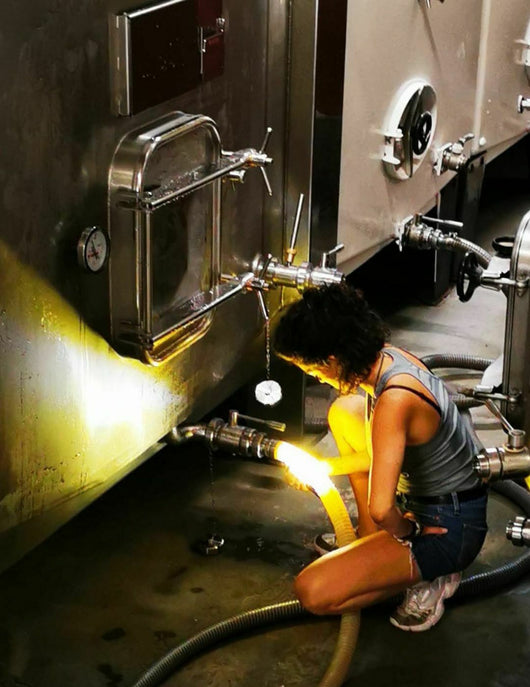 Arjolle Équilibre Zéro vino rosso analcolico 0,0% Sanzalc, cantina analcolica per adulti disinibiti